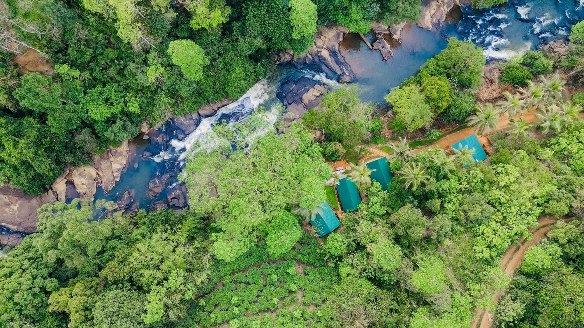 The Rainforest Hideaway Deniyaya Exterior photo