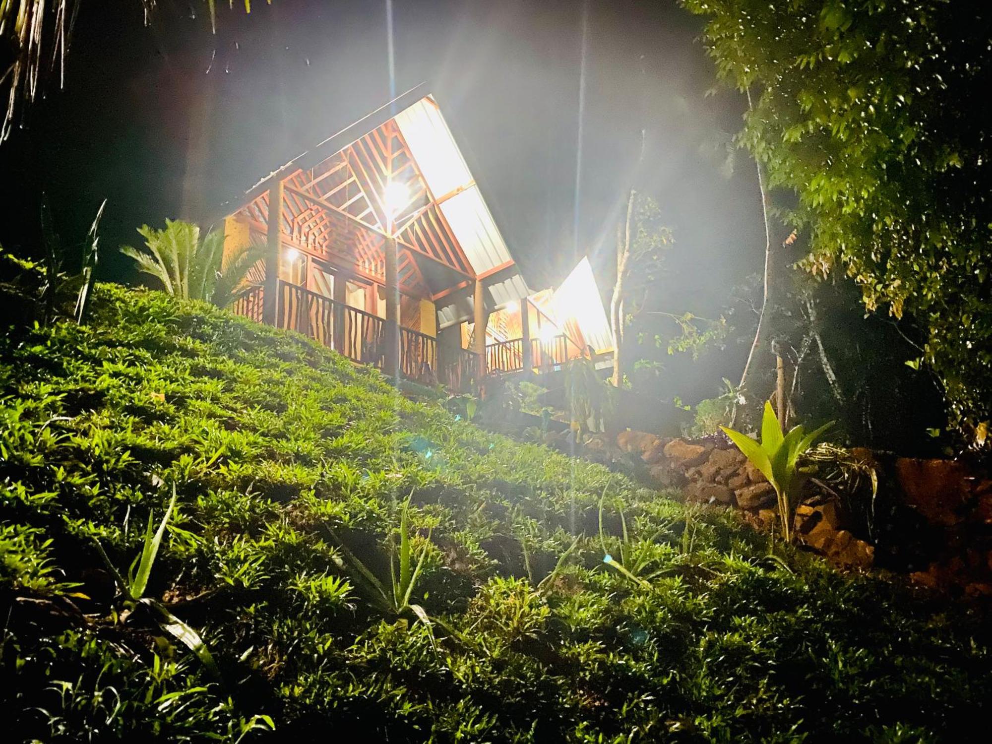 The Rainforest Hideaway Deniyaya Exterior photo