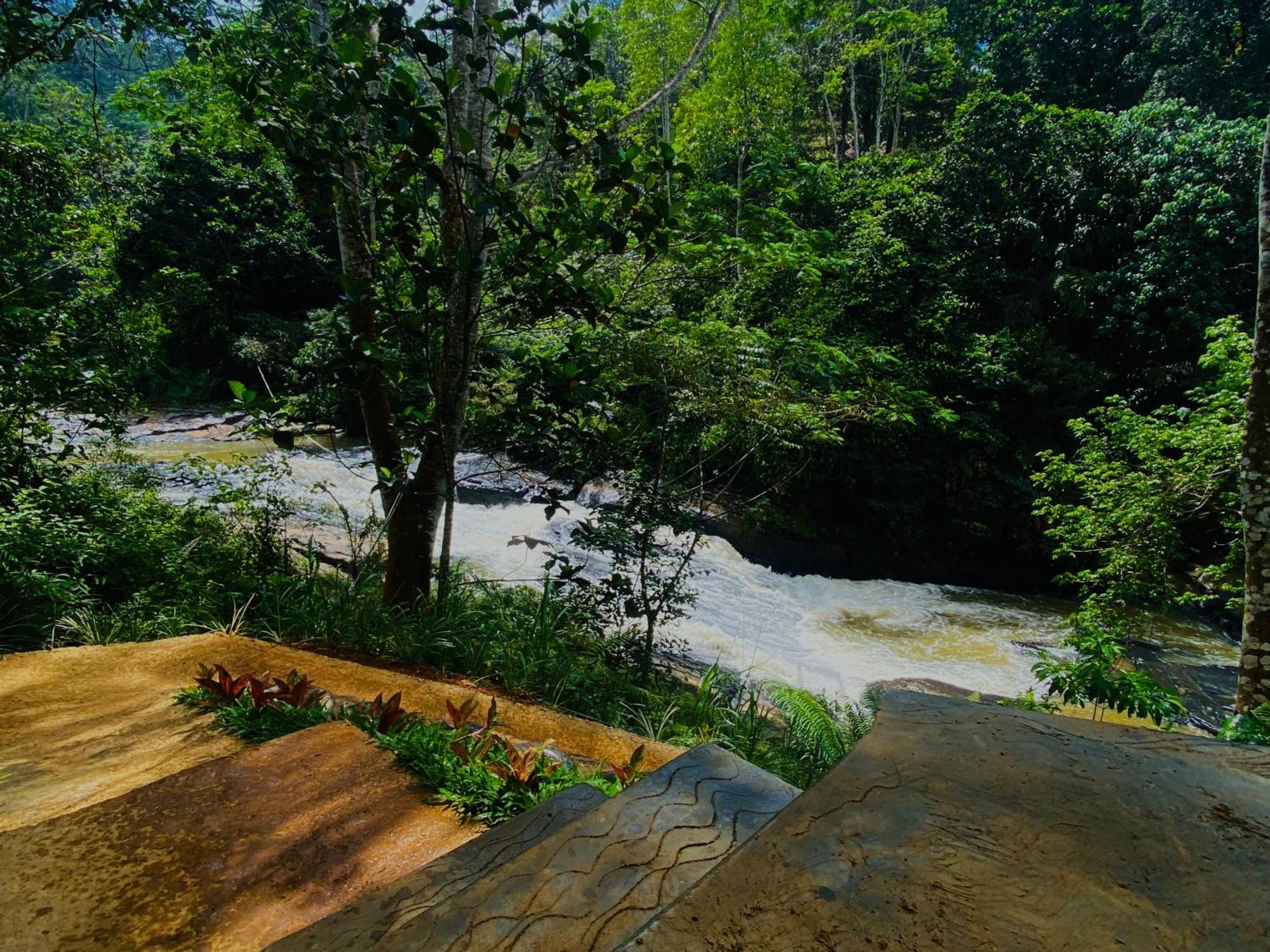 The Rainforest Hideaway Deniyaya Exterior photo